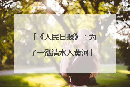 《人民日报》：为了一泓清水入黄河