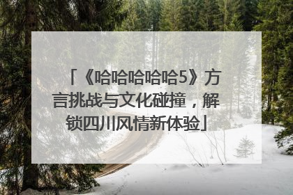 《哈哈哈哈哈5》方言挑战与文化碰撞，解锁四川风情新体验
