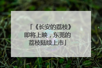 《长安的荔枝》即将上映，东莞的荔枝陆续上市
