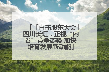 「直击股东大会」四川长虹：正视“内卷”竞争态势 加快培育发展新动能