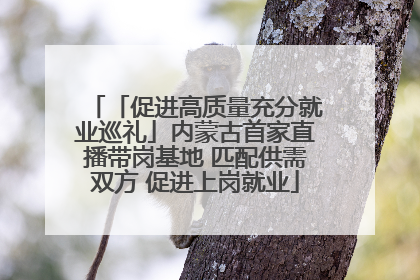 「促进高质量充分就业巡礼」内蒙古首家直播带岗基地 匹配供需双方 促进上岗就业