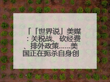 「世界说」美媒：关税战、砍经费、排外政策……美国正在扼杀自身创新能力