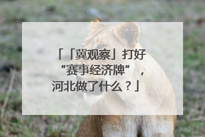 「冀观察」打好“赛事经济牌”，河北做了什么？