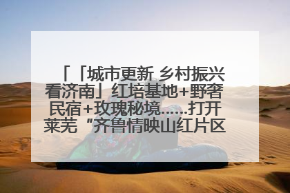 「城市更新 乡村振兴看济南」红培基地+野奢民宿+玫瑰秘境……打开莱芜“齐鲁情映山红片区”的破圈秘籍