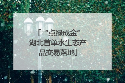 “点绿成金” 湖北首单水生态产品交易落地