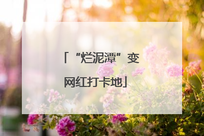 “烂泥潭”变网红打卡地