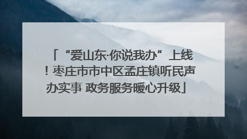 “爱山东·你说我办”上线！枣庄市市中区孟庄镇听民声办实事 政务服务暖心升级