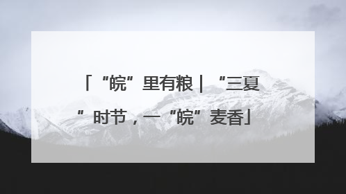 “皖”里有粮｜“三夏”时节，一“皖”麦香