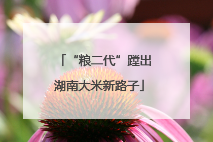 “粮二代”蹚出湖南大米新路子