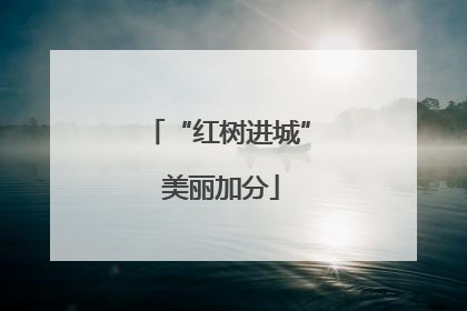 “红树进城” 美丽加分