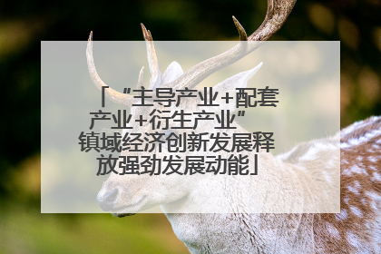 “主导产业+配套产业+衍生产业” 镇域经济创新发展释放强劲发展动能