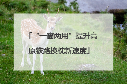 “一窗两用”提升高原铁路换枕新速度