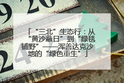 “三北”生态行：从“黄沙蔽日”到“绿毯铺野”——浑善达克沙地的“绿色重生”