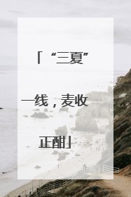 “三夏”一线，麦收正酣
