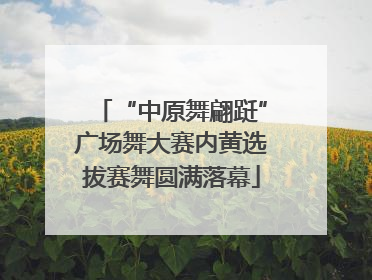 “中原舞翩跹”广场舞大赛内黄选拔赛舞圆满落幕