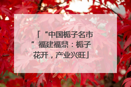 “中国栀子名市”福建福鼎：栀子花开，产业兴旺