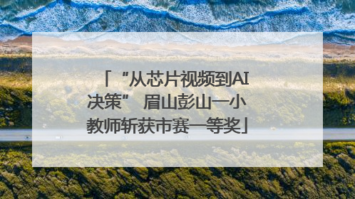 “从芯片视频到AI决策” 眉山彭山一小教师斩获市赛一等奖