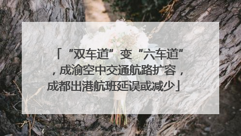“双车道”变“六车道”，成渝空中交通航路扩容，成都出港航班延误或减少