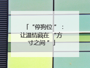 “停狗位 ”：让温情藏在 “方寸之间 ”