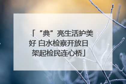 “典”亮生活护美好 白水检察开放日架起检民连心桥