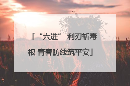 “六进” 利刃斩毒根 青春防线筑平安