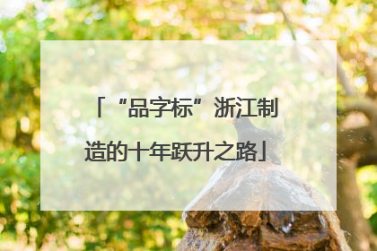 “品字标”浙江制造的十年跃升之路