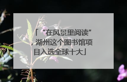 “在风景里阅读”，湖州这个图书馆项目入选全球十大