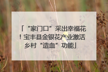 “家门口”采出幸福花！宝丰县金银花产业激活乡村“造血”功能