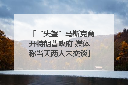 “失望”马斯克离开特朗普政府 媒体称当天两人未交谈