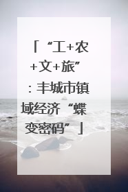 “工+农+文+旅”：丰城市镇域经济“蝶变密码”