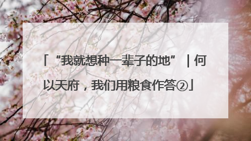 “我就想种一辈子的地”｜何以天府，我们用粮食作答②