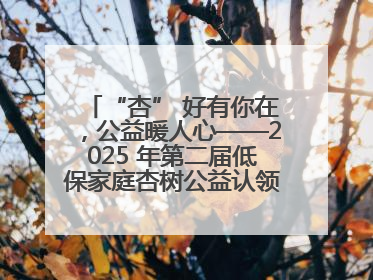 “杏” 好有你在，公益暖人心——2025 年第二届低保家庭杏树公益认领活动开启