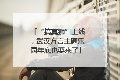 “搞莫狮”上线，武汉方言主题乐园年底也要来了