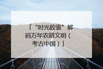 “时光胶囊”解码万年农耕文明（考古中国）
