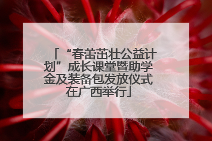 “春蕾茁壮公益计划”成长课堂暨助学金及装备包发放仪式在广西举行
