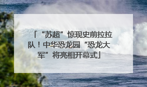 “苏超”惊现史前拉拉队！中华恐龙园“恐龙大军”将亮相开幕式