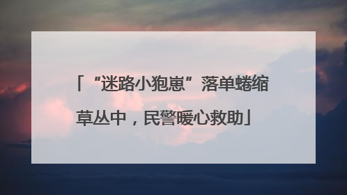 “迷路小狍崽”落单蜷缩草丛中，民警暖心救助