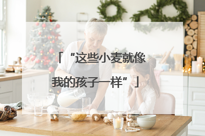 “这些小麦就像我的孩子一样”