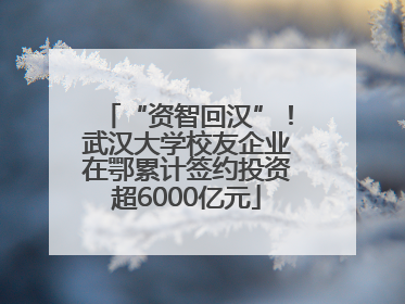 “资智回汉”！武汉大学校友企业在鄂累计签约投资超6000亿元