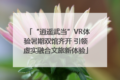 “逍遥武当”VR体验暑期双馆齐开 引领虚实融合文旅新体验