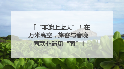 “非遗上蓝天”！在万米高空，旅客与春晚同款非遗见“面”