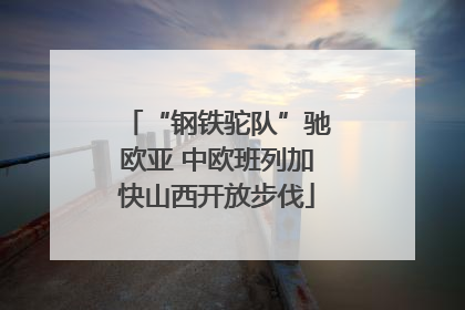 “钢铁驼队”驰欧亚 中欧班列加快山西开放步伐