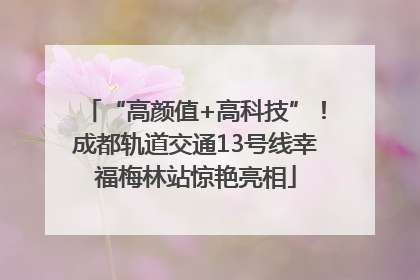 “高颜值+高科技”！成都轨道交通13号线幸福梅林站惊艳亮相