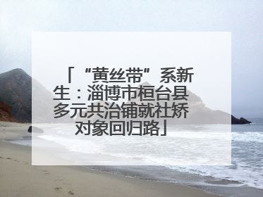 “黄丝带”系新生：淄博市桓台县多元共治铺就社矫对象回归路