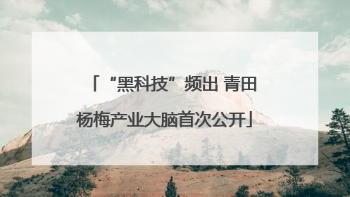 “黑科技”频出 青田杨梅产业大脑首次公开