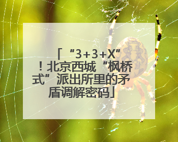 “3+3+X”！北京西城“枫桥式”派出所里的矛盾调解密码