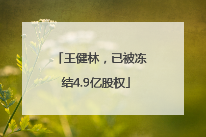 王健林，已被冻结4.9亿股权