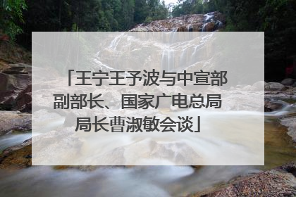 王宁王予波与中宣部副部长、国家广电总局局长曹淑敏会谈