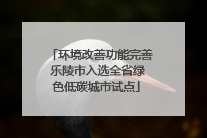 环境改善功能完善 乐陵市入选全省绿色低碳城市试点