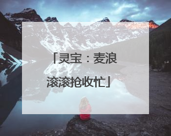 灵宝：麦浪滚滚抢收忙